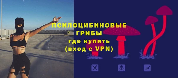 скорость Медвежьегорск