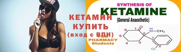 шишки Магас