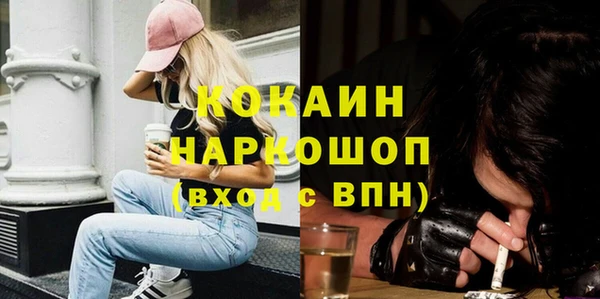 дмт Елизово